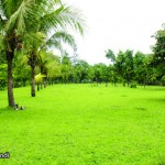 PADMA-AREA-BOROBUDUR