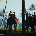 Borobudur-with-elephant-2